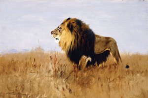 avını izleyen aslan, by Wilhelm Kuhnert
