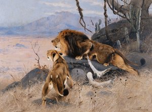 Aslan ve Dişi Aslan; Lowe ve Lowin,