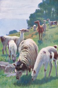 Frederick Warne & Co tarafından yayınlanan Wildlife of the World
