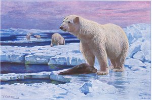 Frederick Warne & Co tarafından yayınlanan Wildlife of the World