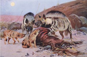 Frederick Warne & Co tarafından yayınlanan Wildlife of the World