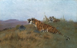 Avlarını Takip Eden Kaplanlar (resim) by Wilhelm Kuhnert