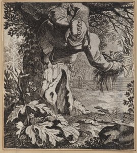 Cüretkar Aptal by Wilhelm Stettler