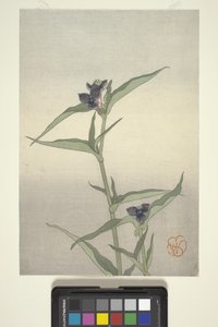 Çiçek Çalışması, c.1908 (renkli tahta baskı) by Wilhelmina Seegmiller