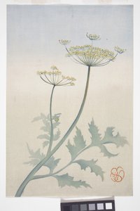 Queen Anne's Lace, c.1908 (renkli tahta baskı) by Wilhelmina Seegmiller