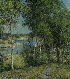 Huş Ailesi, 1907.