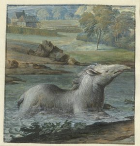 Sudaki Tapir by Willem Hendrik Wilhelmus van Royen