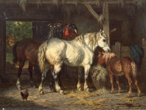  by Willem Jacobus Boogaard