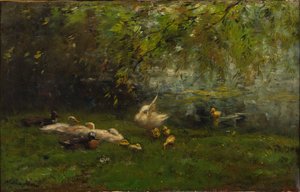 ördek cenneti