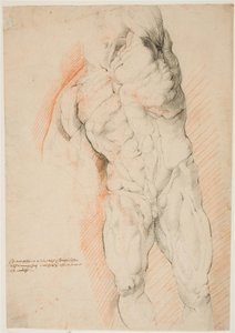 Anatomik Çalışma (écorché). Sol kolu kaldırılmış, derisi yüzülen adamın önden görünümü by Willem Panneels