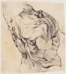 Anatomik Çalışma (écorché). Arka yarısında görülen derisi yüzülen bir adamın gövdesi sağa döndü by Willem Panneels