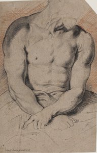 Dikenlerle Taçlanmış Mesih. İsa'nın gövdesi. Van Dyck'ten sonra by Willem Panneels