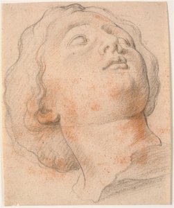 Romalı bir kadının başı, çeyrek profil sağa döndü by Willem Panneels