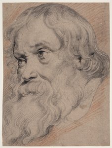 Yaşlı, sakallı bir adamın başı, dörtte üç profil t.v. by Willem Panneels