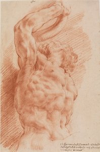 Laokoon. Sağdan aşağıdan görülen Laocoon