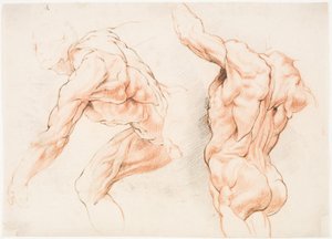 Sola yaslanmış bir adamın iki anatomik çalışması ve kolunu kaldırmış olarak arkadan görülen bir diğeri (écorché) by Willem Panneels