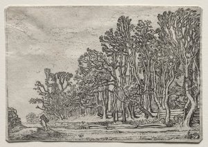 Manzara Seti: İki Tahta Çit by Willem Pietersz Buytewech
