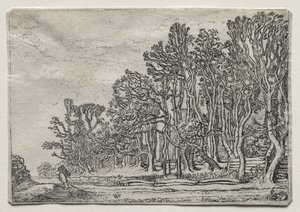 Manzara Seti: İki Tahta Çit, 1616.