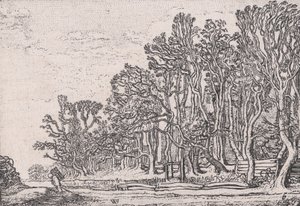 Verscheyden Landtschapjes
