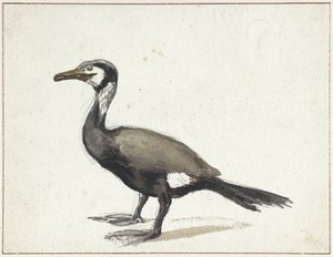 Karabatak