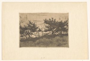 Bir tepe üzerinde ağaçlar by Willem Arnoldus Witsen