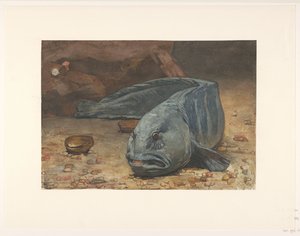 Akvaryumun dibindeki kurt balığı by Willem Arnoldus Witsen