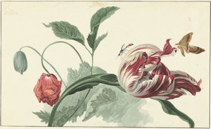 Lale ve haşhaş by Willem van Leen (attributed to)