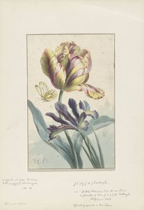 Lale ve iris by Willem van Leen