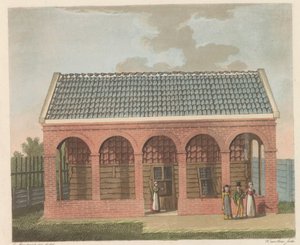 Zaandam