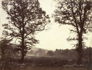 Karaağaç, Ashdown, Büyük Britanya ile manzara by William 2nd Earl of Craven