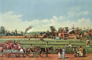  by William Aiken (after) Walker