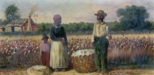 Güney Amerika
