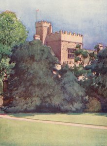  by William Ainsworth Wildman