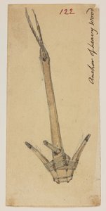 WD 959 bölüm 2 f.122 by William Alexander