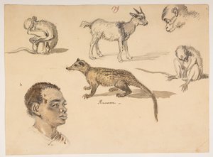 f.65 179 Lord Macartney