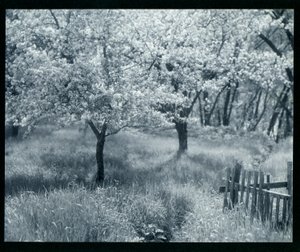  by William B. Post
