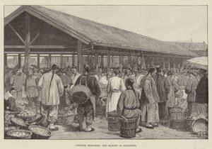 Çin Skeçleri, Şanghay