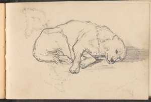 Uyuyan bir köpeğin taslağı, 1879 dolaylarında by William Barnes Wollen