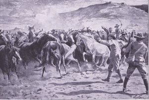 Fouriesburg yakınlarındaki Brandwater bölgesinde atların ele geçirilmesi: sürüyü toplama, Pretoria Sonrası: Gerilla Savaşı, 1902