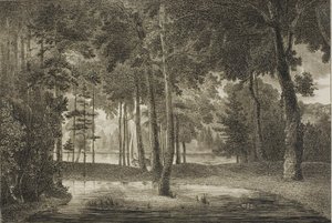 Elysian Bower