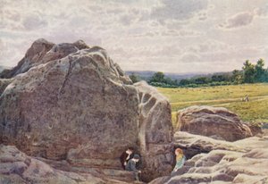 Tunbridge Wells, Common