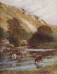 Wye