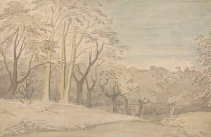 Ormanlık Bir Manzara by William Blake