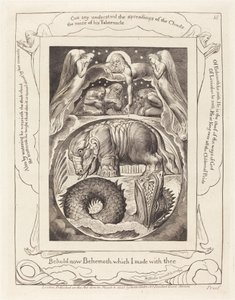 Behemoth ve Leviathan by William Blake