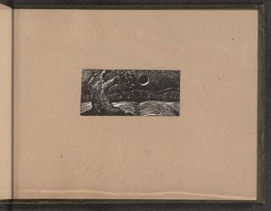 Püskürtülmüş Ağaç ve Yassılaştırılmış Bitkiler by William Blake