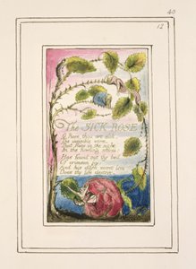 S.124-1950.pt40 Hasta Gül: 'Masumiyet ve Deneyim Şarkıları'ndan 40 numaralı plaka (kopya R) c.1802-08 (gravür, mürekkep ve wc) by William Blake