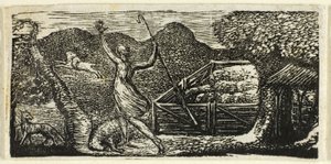 The Pastorals of Virgil