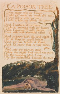 Masumiyet ve Deneyim Şarkıları, Levha 41, "Zehir Ağacı" (Bentley 49) by William Blake