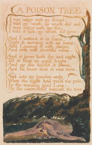 Masumiyet ve Tecrübe Şarkıları, Plaka 41, Zehir Ağacı (Bentley 49) by William Blake