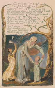 Masumiyet ve Deneyim Şarkıları, Plate 48, "The Fly" (Bentley 40) by William Blake